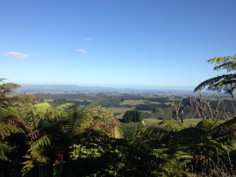 View from Te Tiro farm