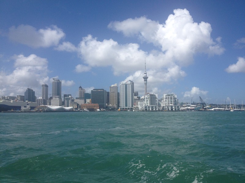Auckland skyline from the harbor