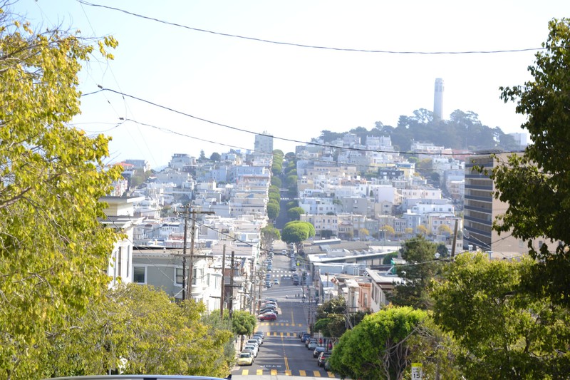 View from Lombard street. You can see Coit tower.