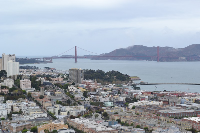 Another view from the top of Coit tower. You can see the Golden Gate Bridge.