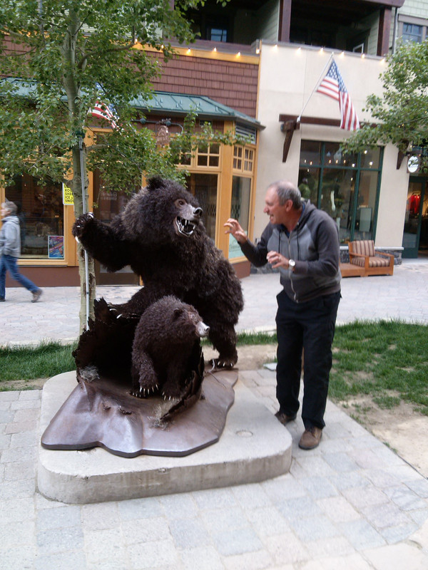 bear encounter at mammoth hot springs