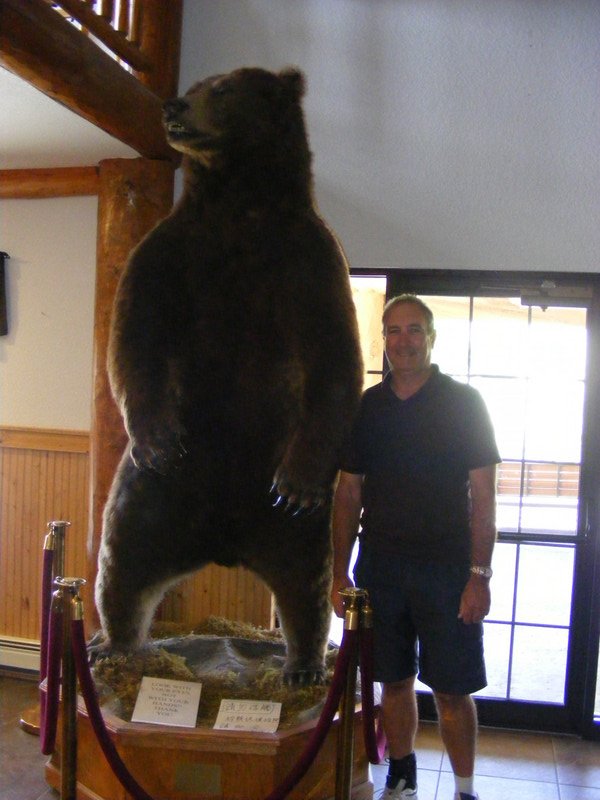 bear encounter in gardiner