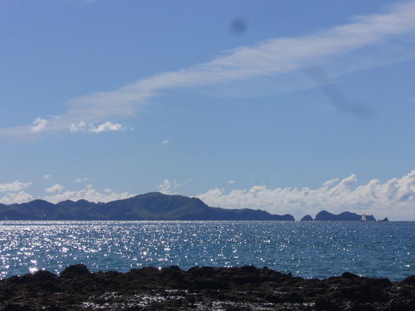 Bay of Islands 05