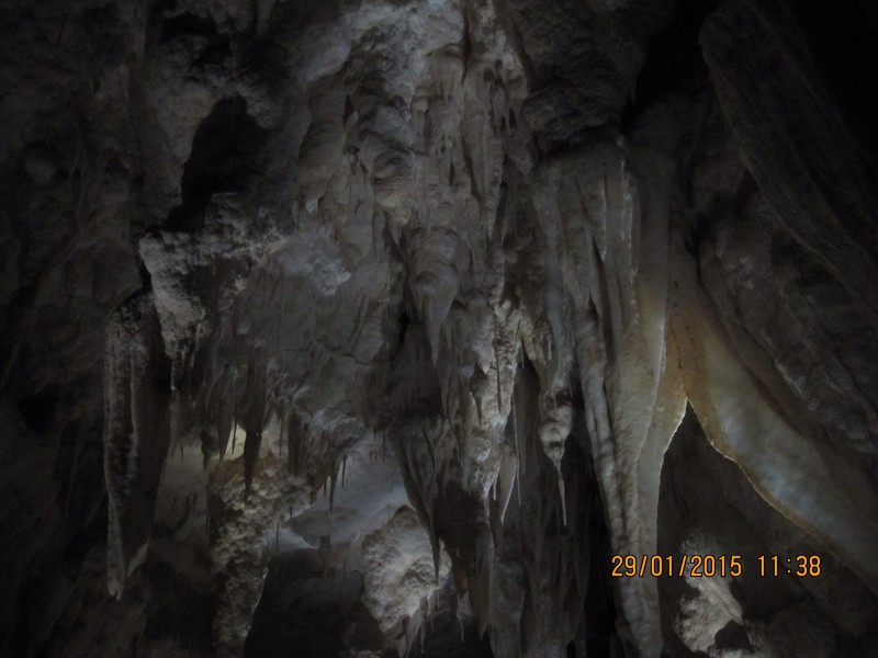 Stalactites in Waitomo Glowworm Caves