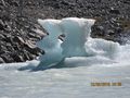 Icebergs broken away from the Tasman Glacier 