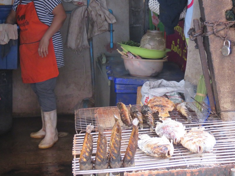 Chiang Mai Food Tour - Fish at market 