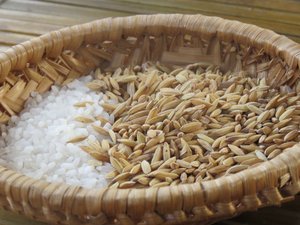 Rice with husks and after threshing 