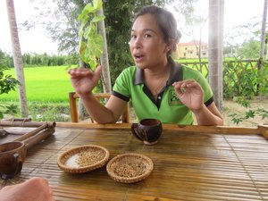 The lovely Lily telling us about rice farming