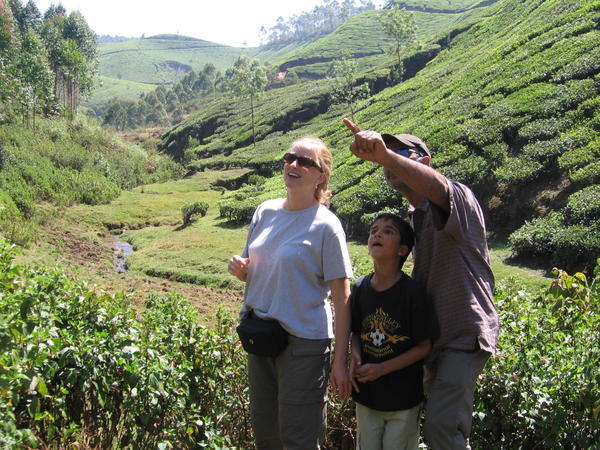 Munar Tea Plantations