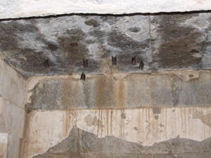 Bats in the Underground Temple