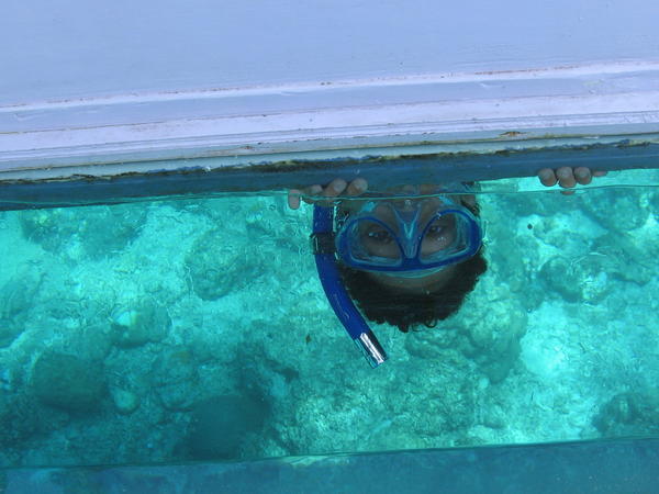 Me, Underneath the Glass Bottom Boat