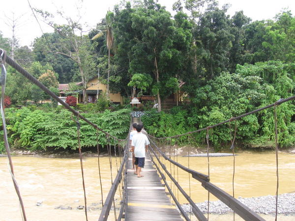 Bridge to our Cottages in Bukit Lawang