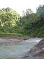 The River We Rafted Down After our Jungle Trek