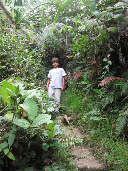 Me in a jungle.