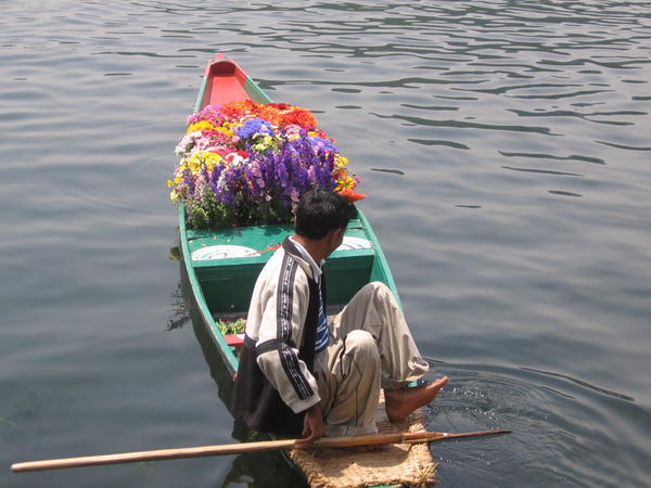 Flower seller on Dal Lake in Kashmir.