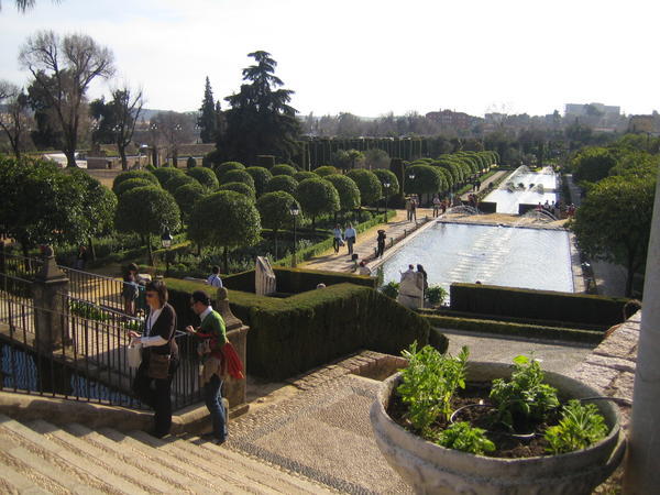 The gardens of the Alcazar