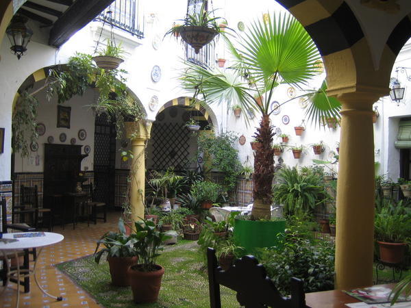 The patio at our hostel