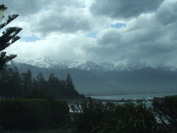 New Zealand - Bottom Island