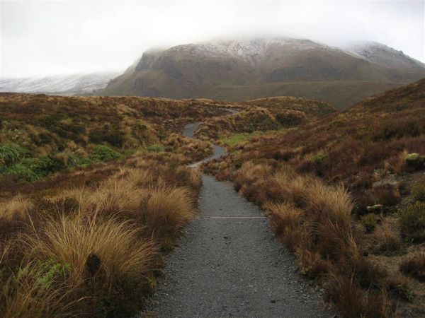 Tongariro Trail Head