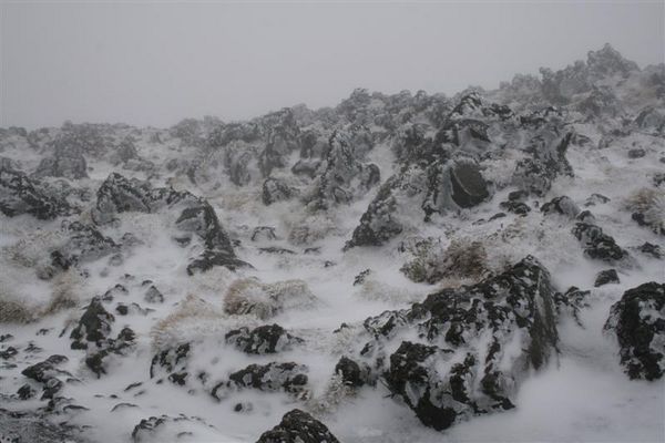 Ice Covered Rocks