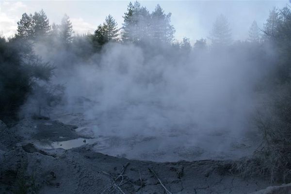 Steaming Bubbling Mud Pond