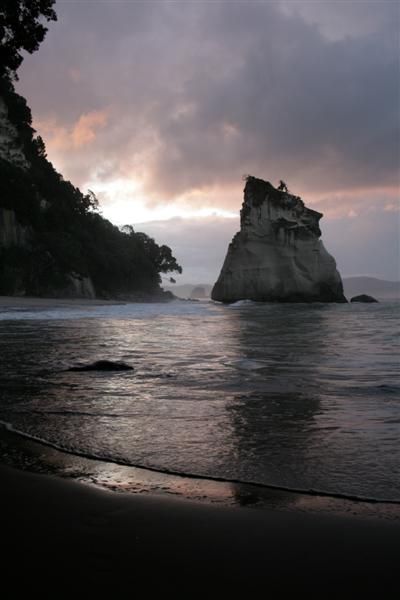 Cathedral Cove View