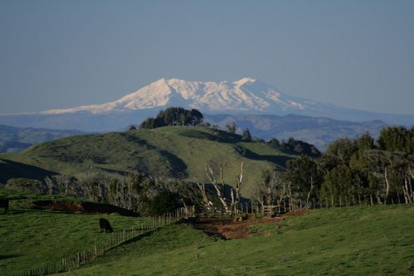 Tongariro from 130km