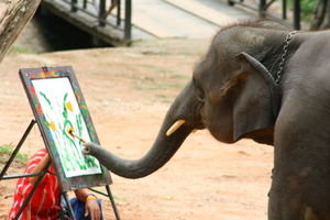 Elephant Show Painting