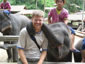Me & an Elephant