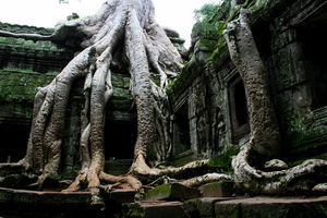 Ta Prohm