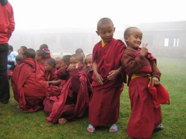 Mini-Monks
