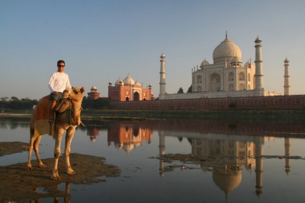 Camel, Taj, and Sunset