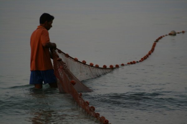Hauling In The Fishing Nets At Dawn