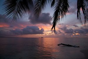 Iguanas Island Sunset