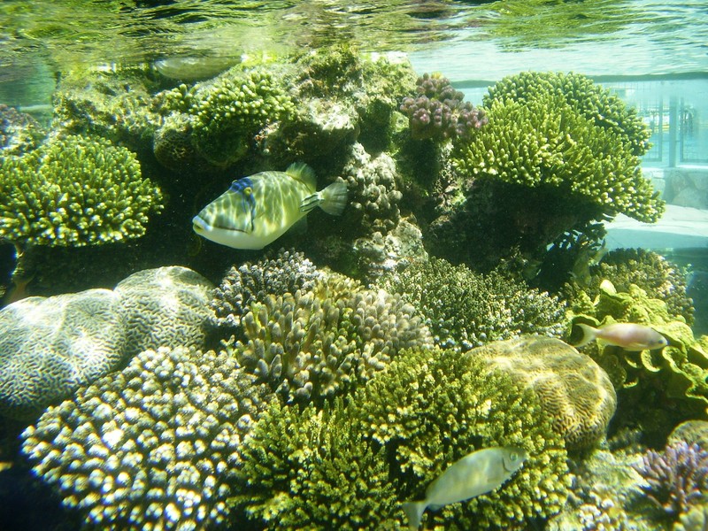 Underwater Observatory Marine Park 
