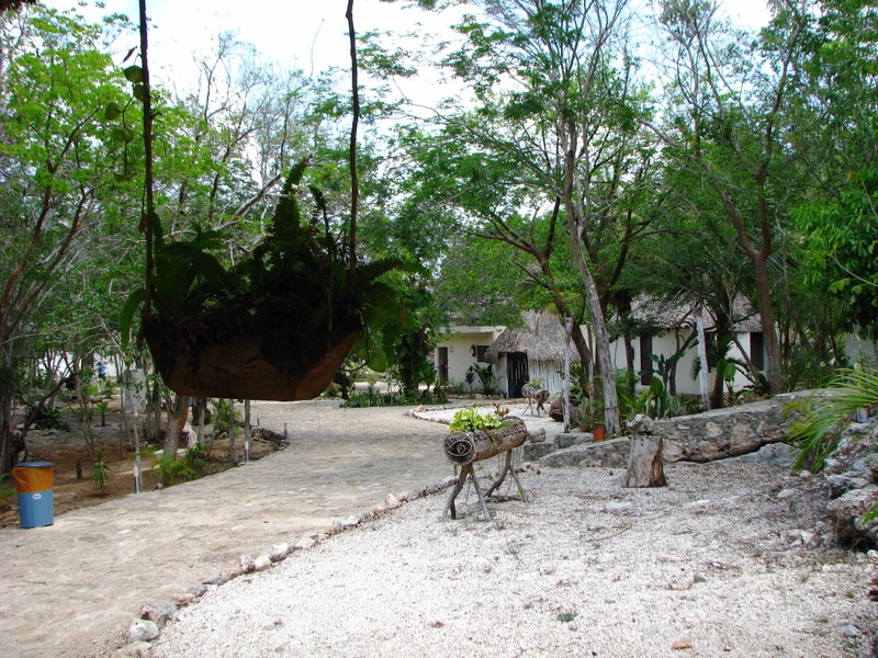 Cenote Dzitnup and Samula