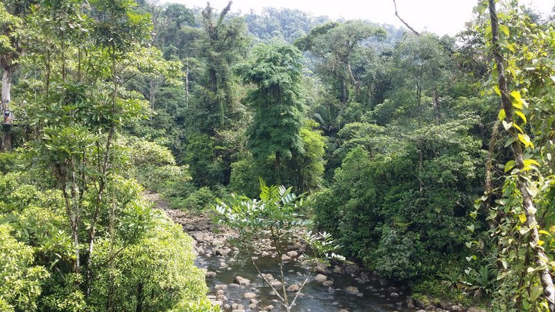 Rainforest Adventures Costa Rica Atlantic