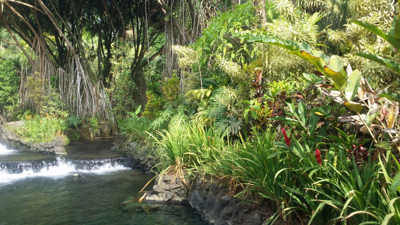 Tabacon Thermal Springs