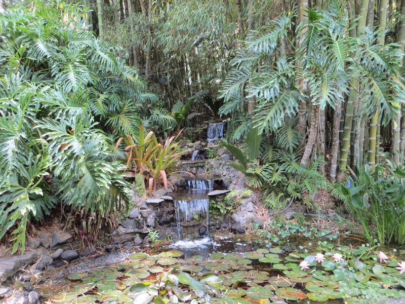 Lankester Garden, Cartago