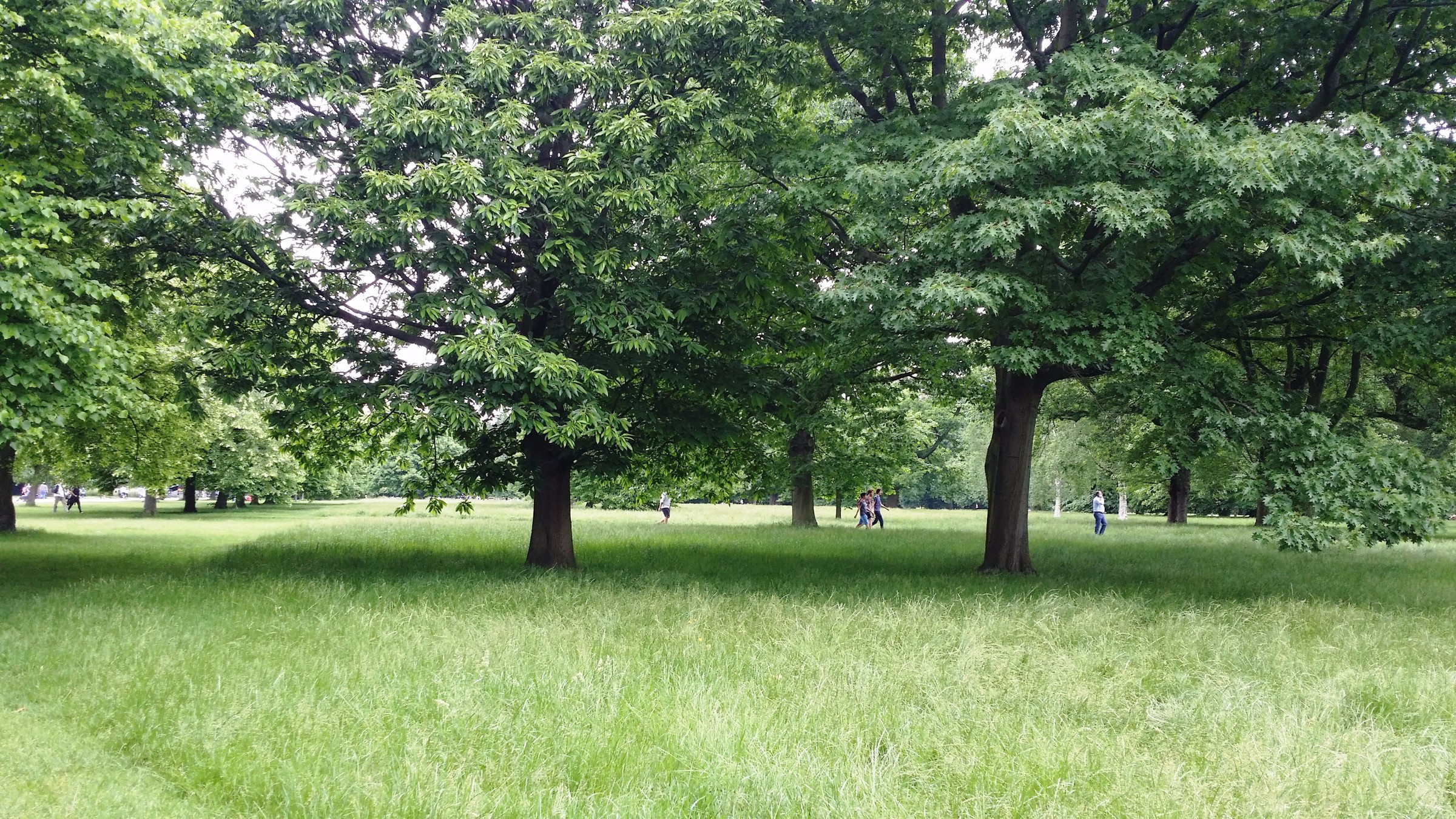 The Diana, Princess of Wales Memorial Walk | Photo