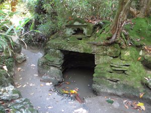 Pentevan and The Lost Gardens of Heligan