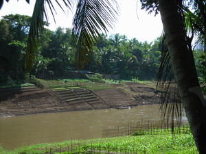 Farms on the river