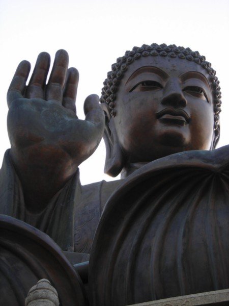 Under the Buddha