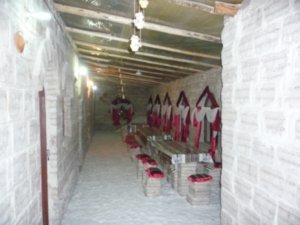 Salt Hotel