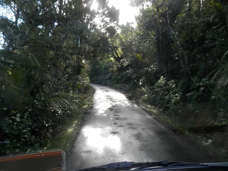 route du mont Pukematekeo