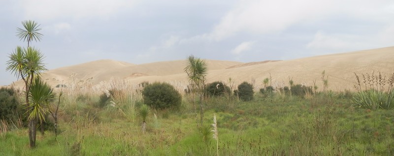 Giant sand dune