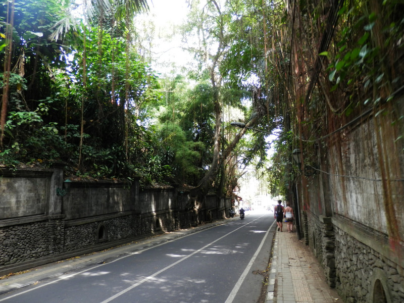 une rue dans Ubud