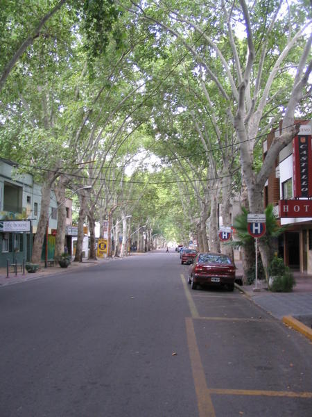 Tree-lined, wide streets
