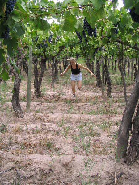 Irene escaping from the vines