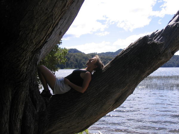 Irene layin in a tree